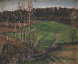 Landschaft bei Svanninge mit grünem Wintergetreide