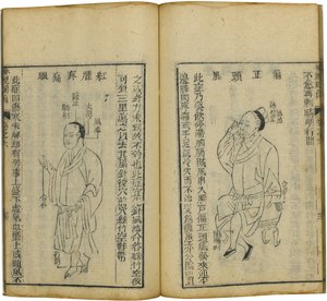 Shen Shi Yao Han Ein kostbares Buch der Augenheilkunde, 1644 von Fu Renyu