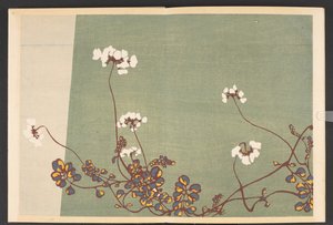 Shasei sôka môyô, Muster von Pflanzen und Blumen aus dem Leben