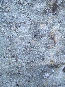 Rissige graue Textur