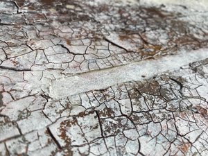 Rissige weiße Oberfläche von Gabriela Aleksandra Szuba