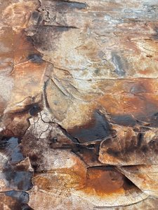 Verwitterte organische Texturen von Gabriela Aleksandra Szuba