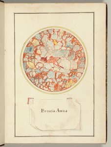 Breccia Antica, aus Verschillende Steen Soorten, Italien von Gaetano Piccini