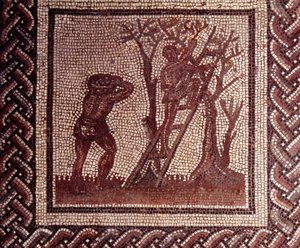 Gallorömische Kunst: Mosaikpflaster, das einen rustikalen Kalender darstellt. Olivenernteszene. Ende 2., Anfang 3. Jahrhundert n. Chr. Aus Saint-Romain-en-Gal (Rhône). Saint-Germain-en-Laye, Nationalmuseum für Archäologie von Gallo Roman