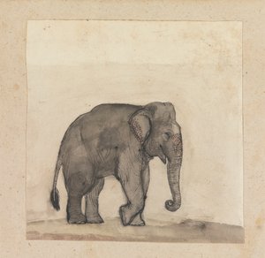 Elefant von Gangaram Chintaman Tambat