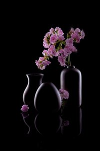 Dunkle Vasen Rosa Blumen