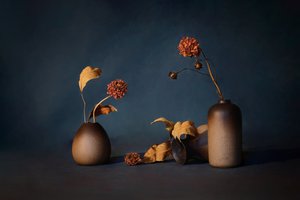Stimmungsvolle Getrocknete Blumen