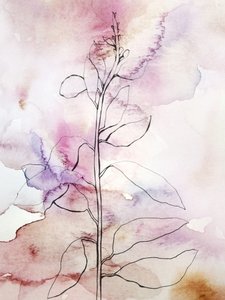 Rosa Aquarell-Botanisch