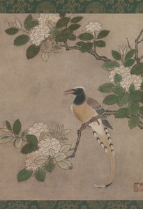 Elster auf einem Viburnum-Zweig, frühes 16. Jahrhundert von Genga