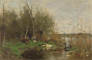 Enten neben einem Entenhaus an einem Graben von Geo Poggenbeek
