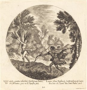 Daphne wird zu einem Lorbeer von Georg Andreas Wolfgang the Elder