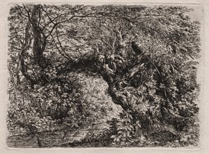 Die alte Weide an einem Bach von Georg von Dillis