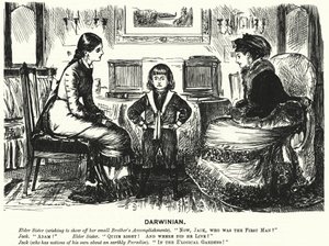 Punch-Karikatur (Gravur) von George (after) Du Maurier