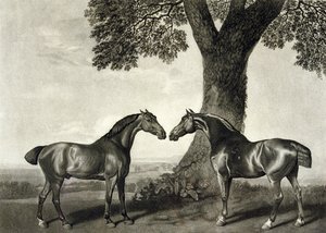Zwei Jäger, graviert von G.T. Stubbs