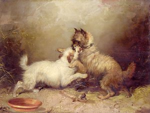 Der Zankapfel von George Armfield