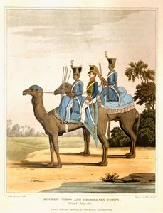 Raketen- und Dromedarkorps, Bengalische Armee 1817, aus 