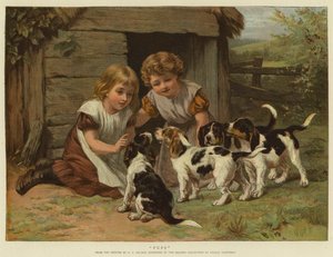 Welpen