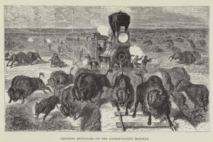 Büffeljagd an der Kansas-Pacific-Eisenbahn