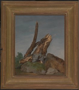 Studie von Felsen und Ästen