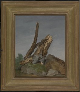 Studie von Felsen und Ästen, ca. 1795