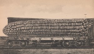 Eine Wagenladung Texas-Mais, ca. 1910 von George B. Cornish