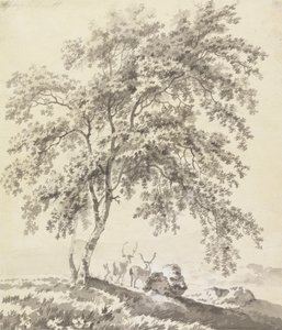 Baumstudie mit Hirschen (Landschaft)