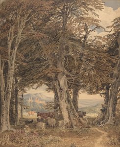 Rinder und Schafe ruhen am Waldrand, ca. 1840 von George Barret the Younger