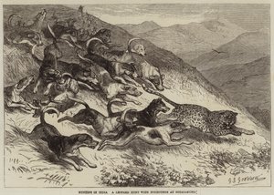 Jagd in Indien, eine Leopardenjagd mit Foxhounds in Ootacamund von George Bouverie Goddard