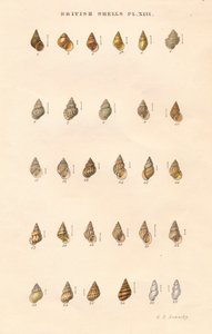 Britische Granaten, um 1859