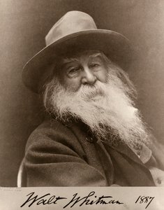 Porträt von Walt Whitman im Jahr 1887 von George C. Cox