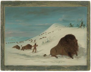 Büffel Lancing im Schneetreiben - Sioux von George Catlin