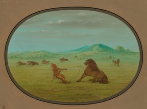 Wilde Pferde fangen - Pawnee von George Catlin
