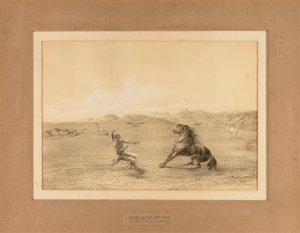 Das wilde Pferd fangen--Nr. 4 von George Catlin