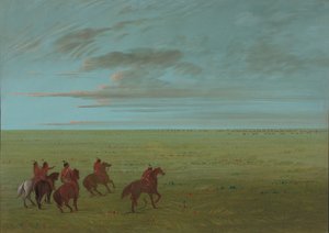Connibos auf dem Weg zu Wildpferden, 1854-1869
