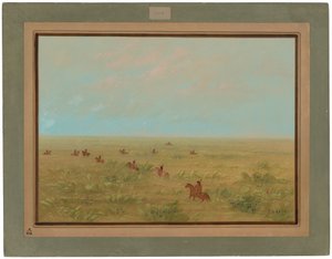 Treiben der Pampas nach Wildrindern - Connibo