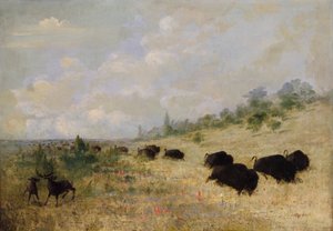 Elch und Büffel weiden unter Prärieblumen, Texas von George Catlin