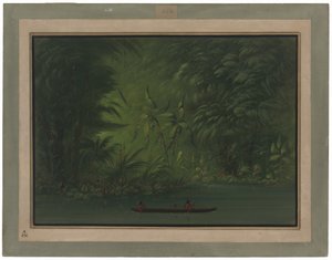 Eingang zu einer Lagune, Ufer des Amazonas