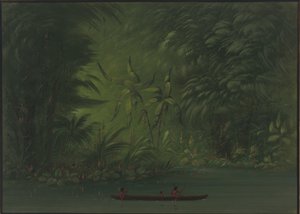 Eingang zu einer Lagune, Ufer des Amazonas