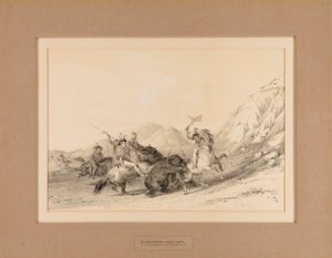 Indianer greifen Grizzlybären an--Nr. 19 von George Catlin