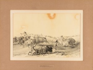 Indianer jagen Büffel--Nr. 7