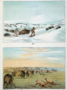 Indianer Amerikas. Bisonjagd: Indianer tragen Schneeschuhe, um im Winter zu jagen, und bedecken sich im Sommer mit Wolfshaut. Illustration von George Catlin (1794-1872) von George Catlin