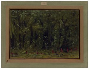 Inneres eines Amazonaswaldes - Zurumati von George Catlin
