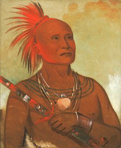 Pam-a-hó, Der Schwimmer, Einer von Black Hawks Kriegern, 1832