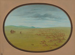 Präriehunddorf, 1861-1869