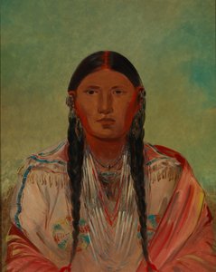 Ru-ton-wee-me, Taube im Flug von George Catlin
