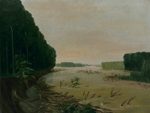 Blick auf den Missouri, Alluviale Uferabbrüche, 600 Meilen oberhalb von St. Louis