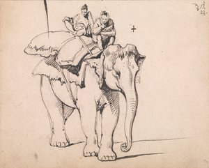Ein Elefant