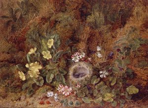 Stillleben mit Vogelnest und Wildblumen von George Clare
