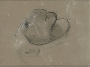 Löwenkopf, vermutlich nach einer Skulptur von George Clausen