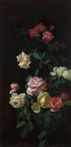 Rosen von George Cochran Lambdin